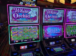 Mobile phone showing slot 999bet account registration form with email and password fields